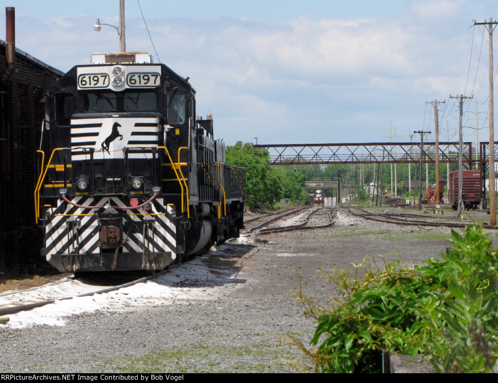 NS 6197