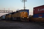UP 8146