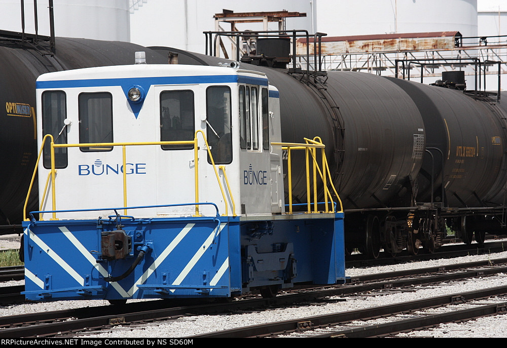 Bunge plant "critter"