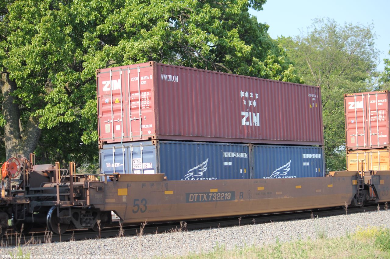 DTTX 732219