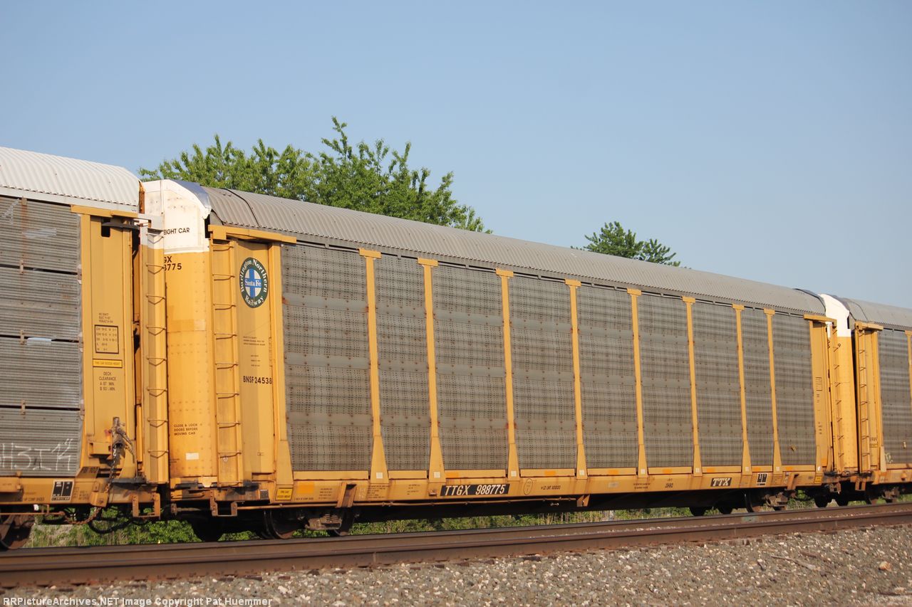 TTGX 988775