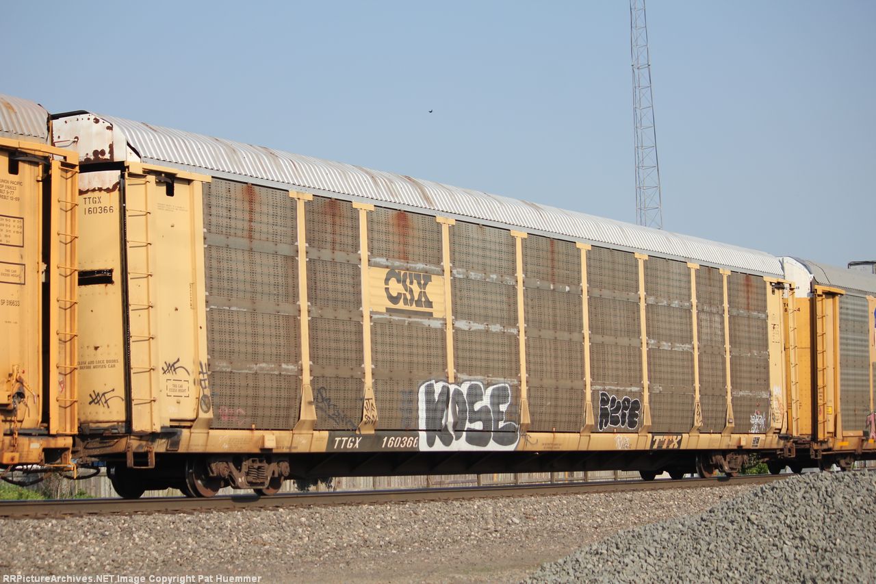 TTGX 160366