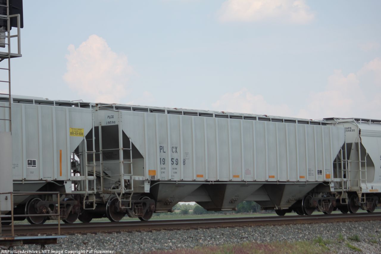PLCX 19598