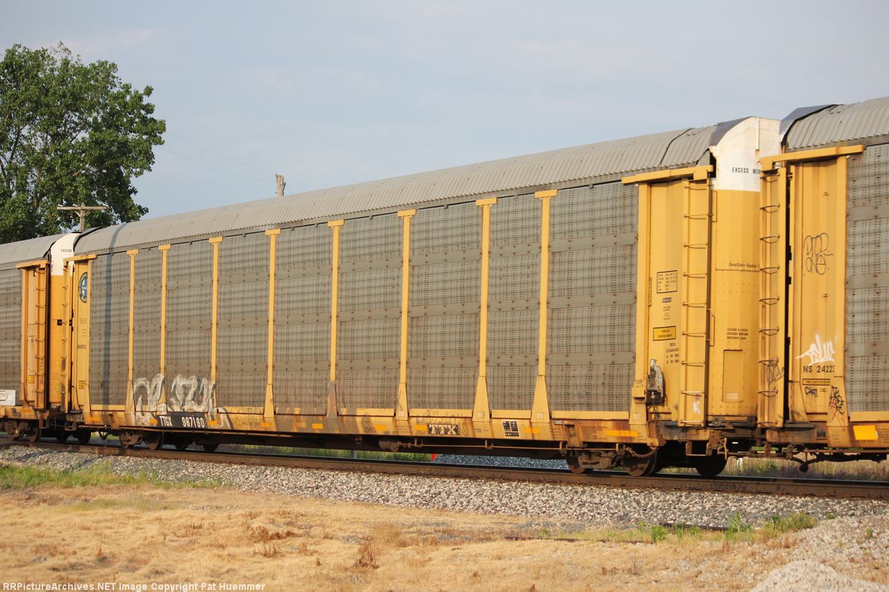 TTGX 987160