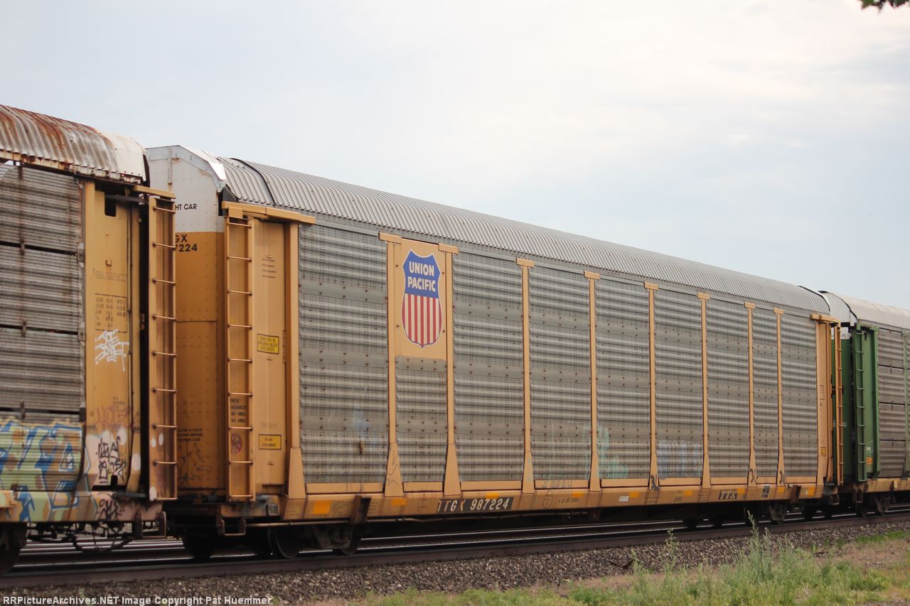 TTGX 987224