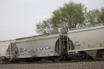CRDX 20032