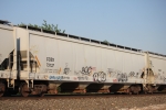 CCBX 73137