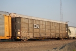 CN 704494