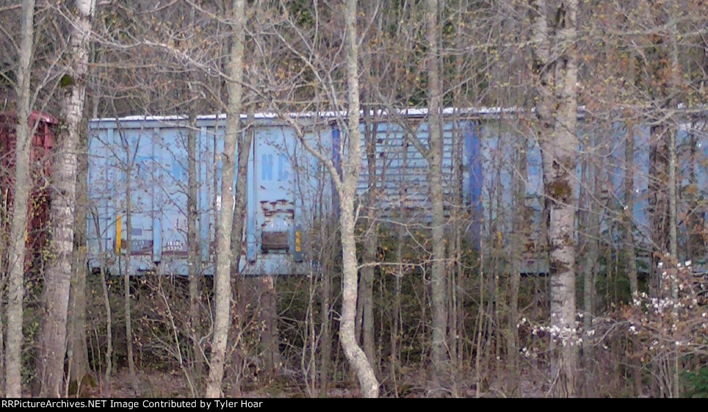 Hibernation in the north woods