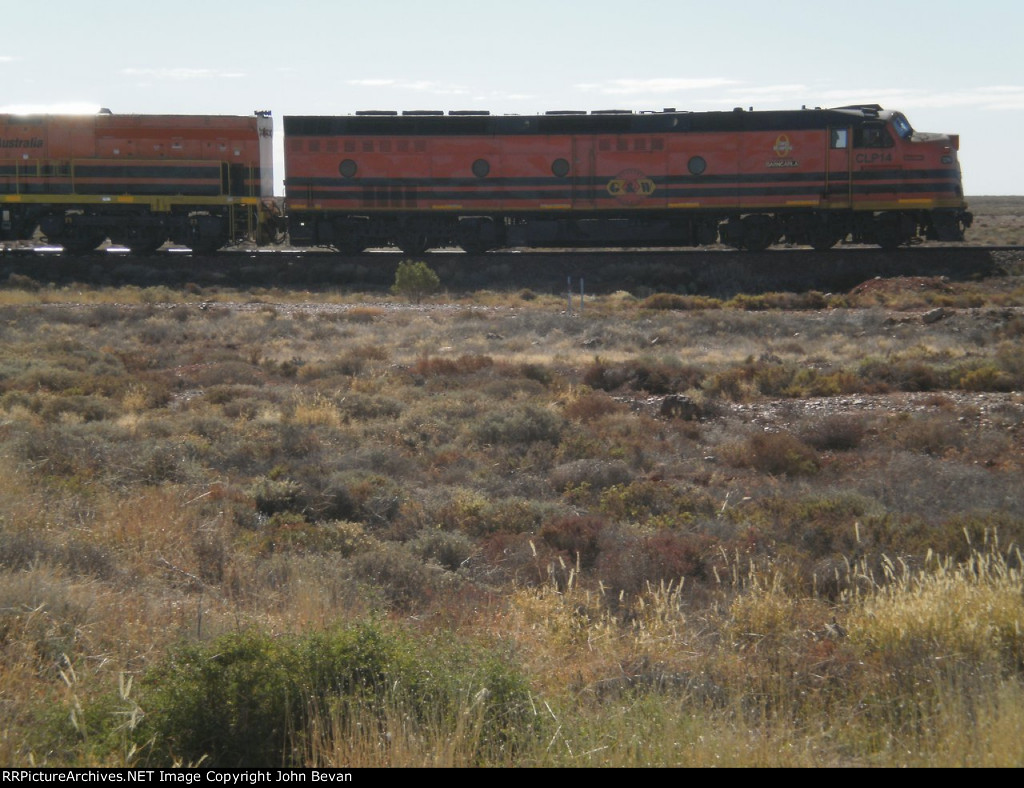 CLP14 (named Barngarla)