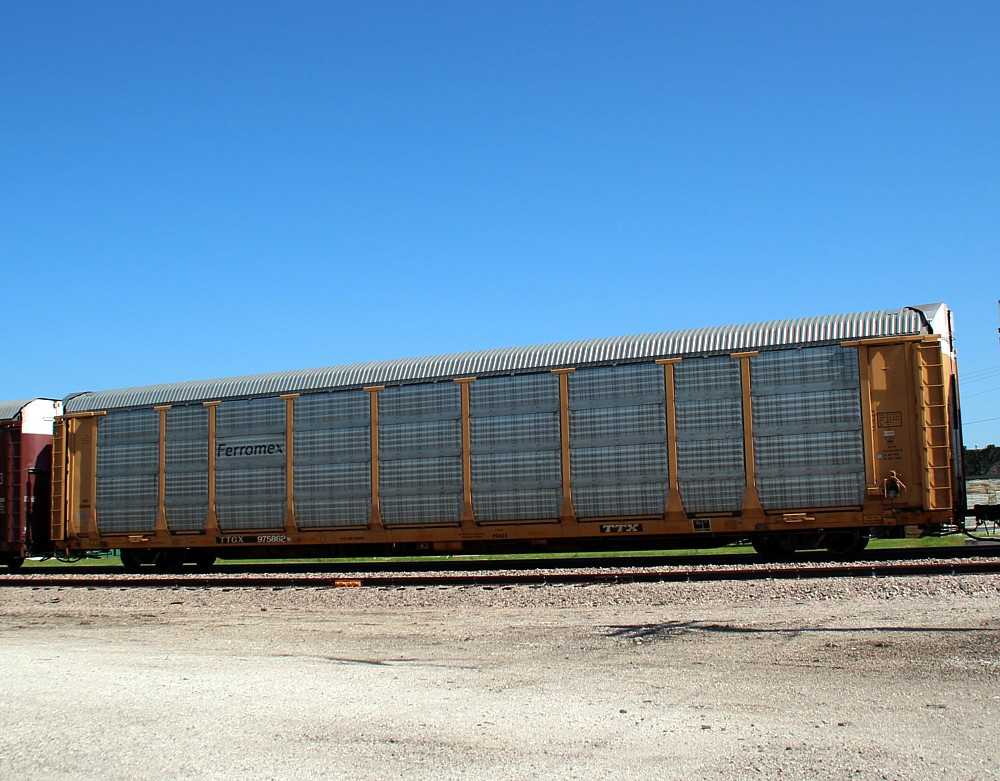 TTGX 975062