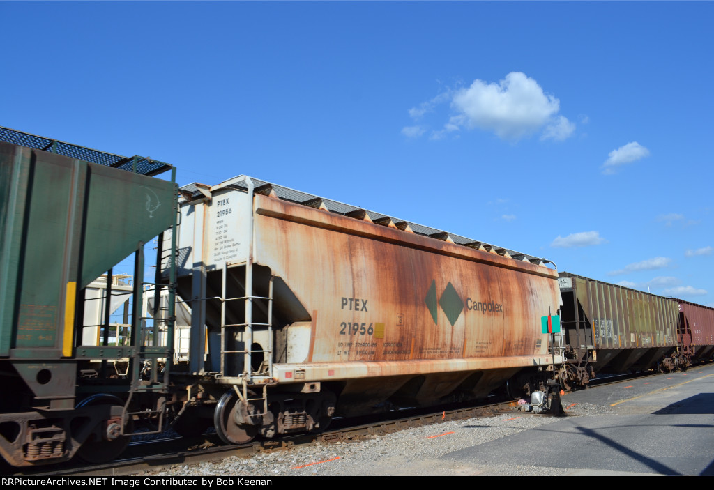 PETX 21856