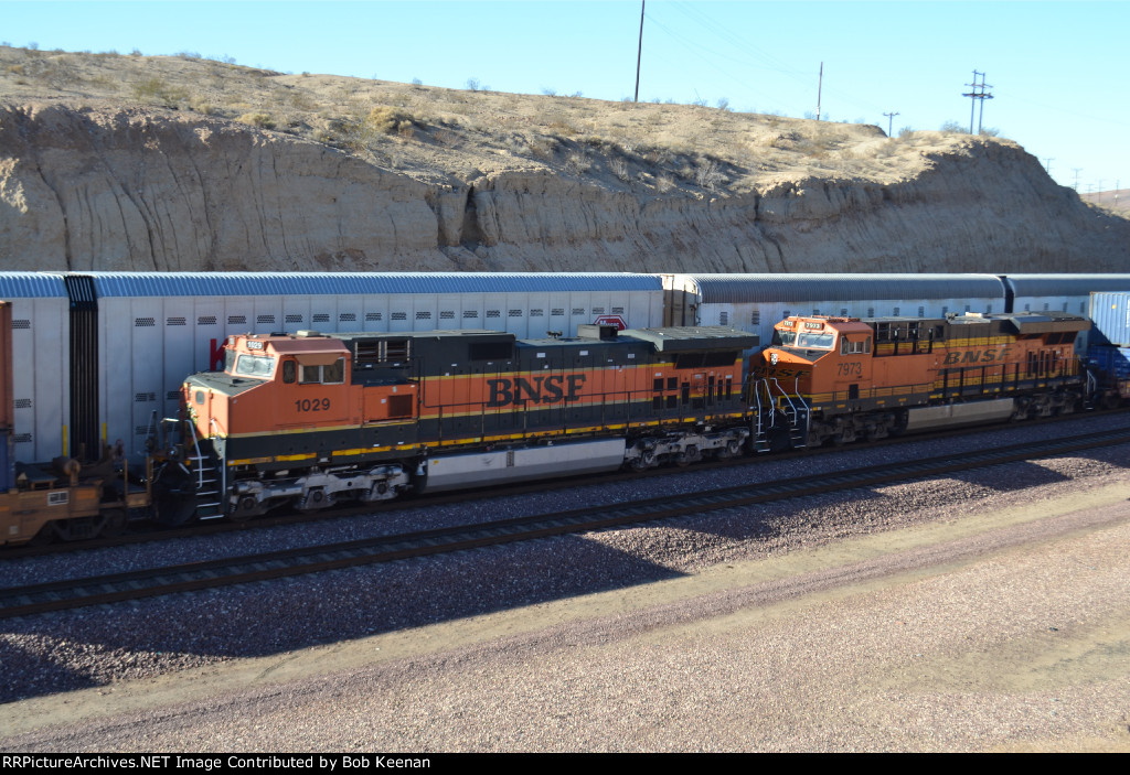 BNSF 1029