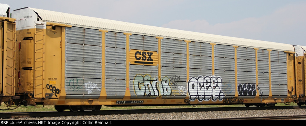 ETTX 850256