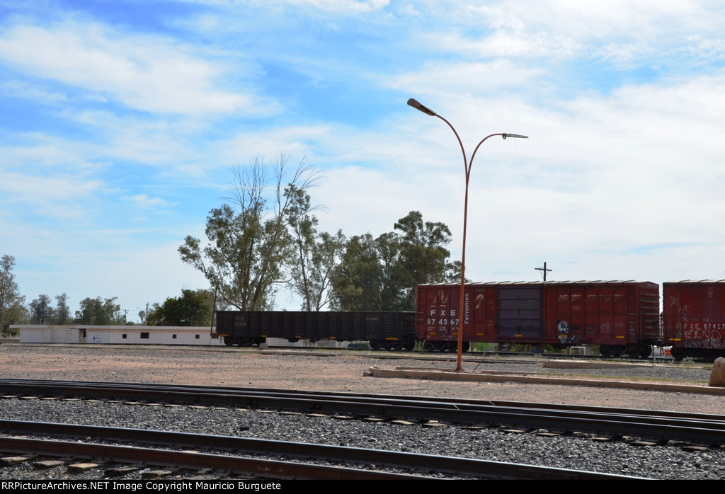 FXE Box car and Gondola in Benjamin Hill