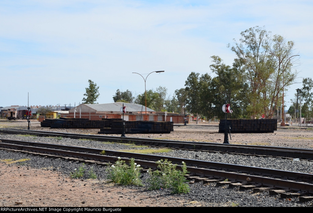 Ferromex yard in Benjamin Hill