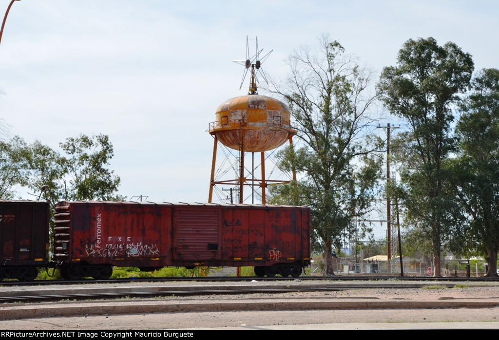 FXE Box car ex NdeM with graffiti