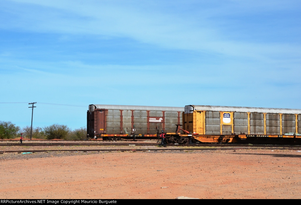 TTAX Spine car and TTGX Conrail Autorack in yard