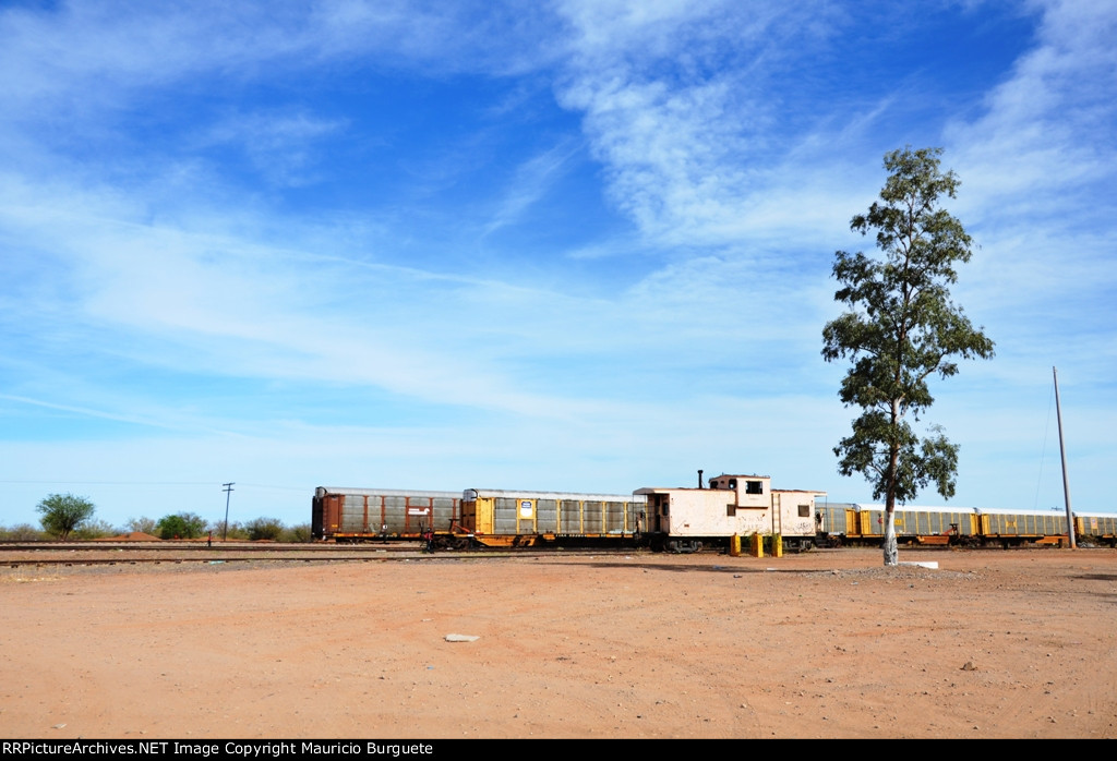 Autoracks, Spine cars and Caboose in Benjamin Hill yard