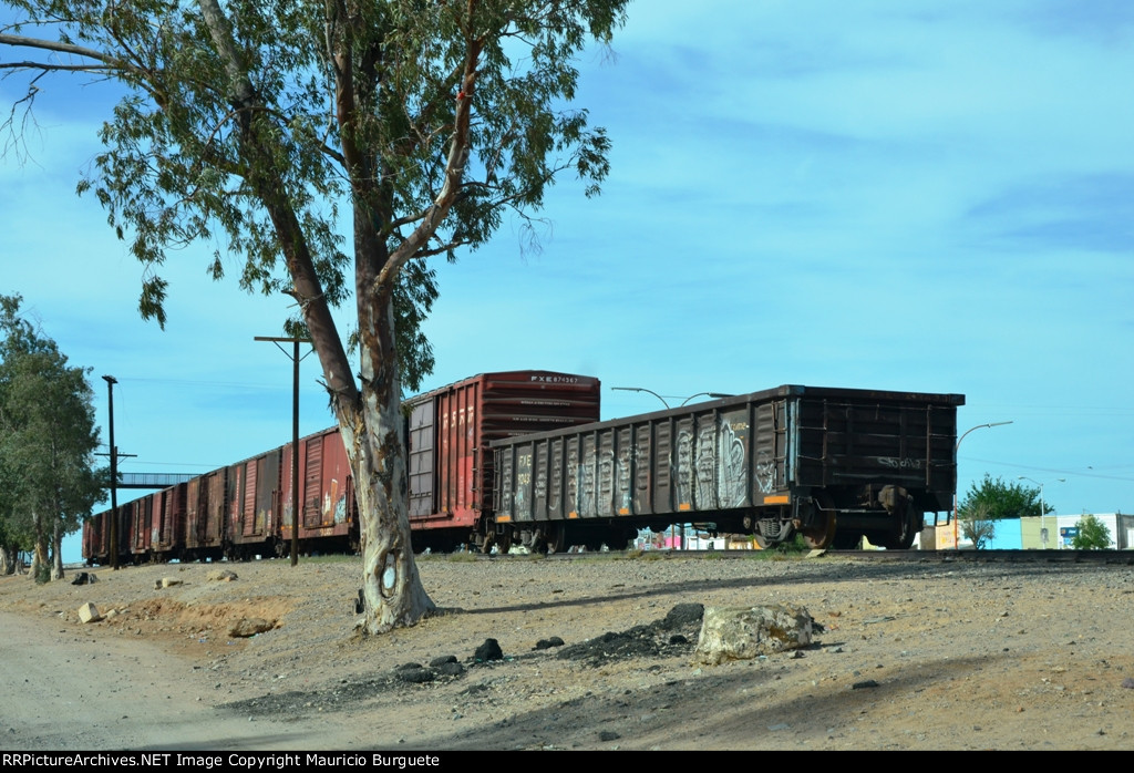 FXE Gondola and Box cars in Benjamin Hill