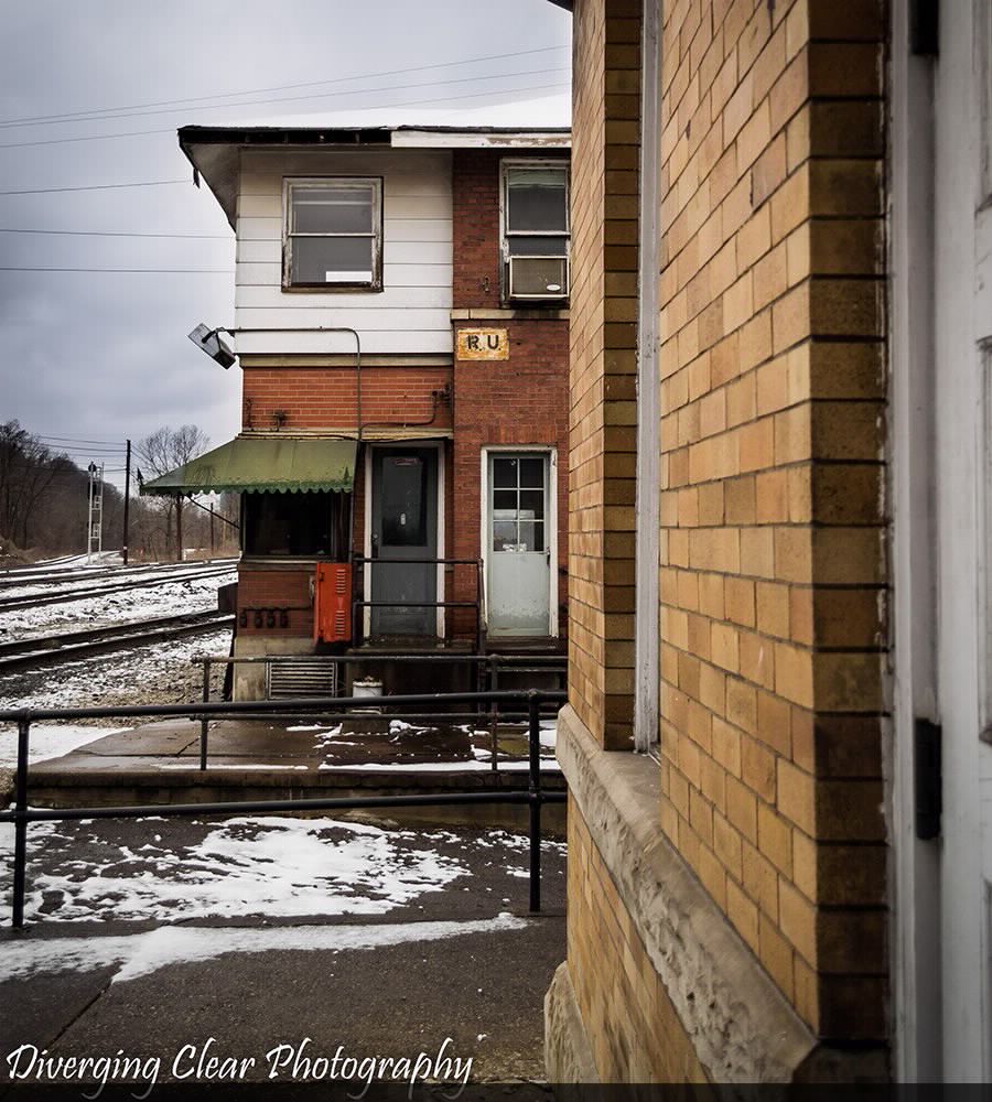 Russell on a Snowy Day