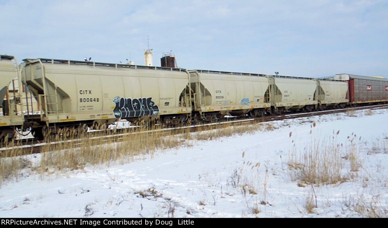 CITX 800648