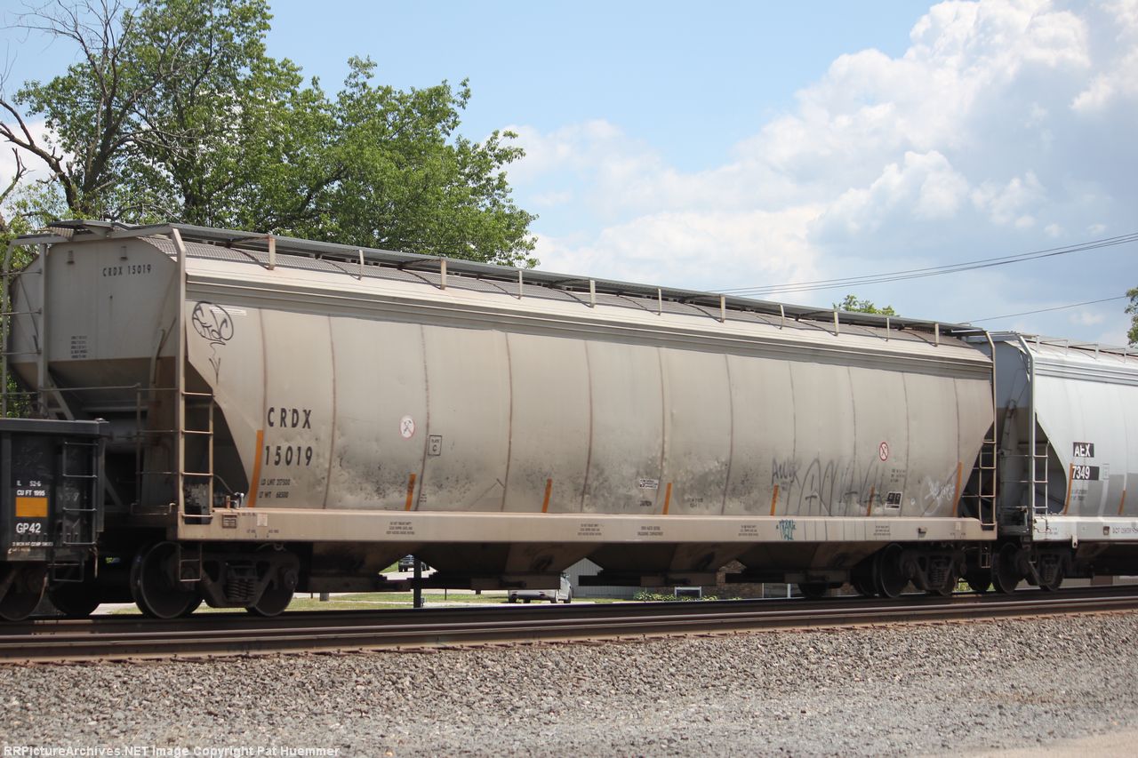 CRDX 15019