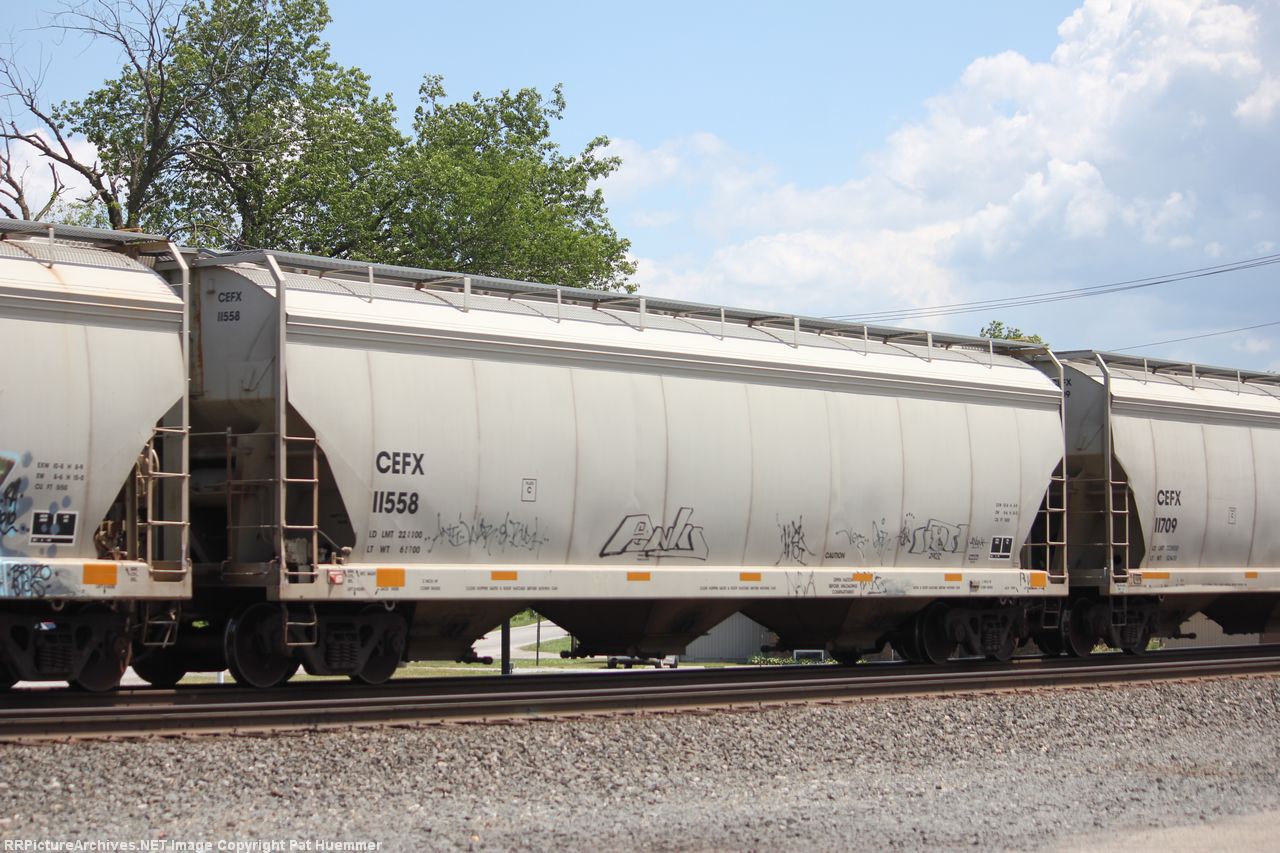 CEFX 11558