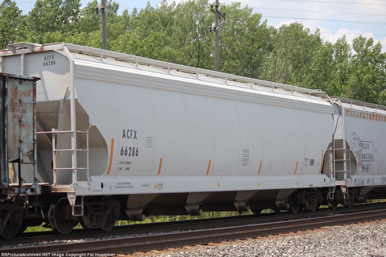 ACFX 66286
