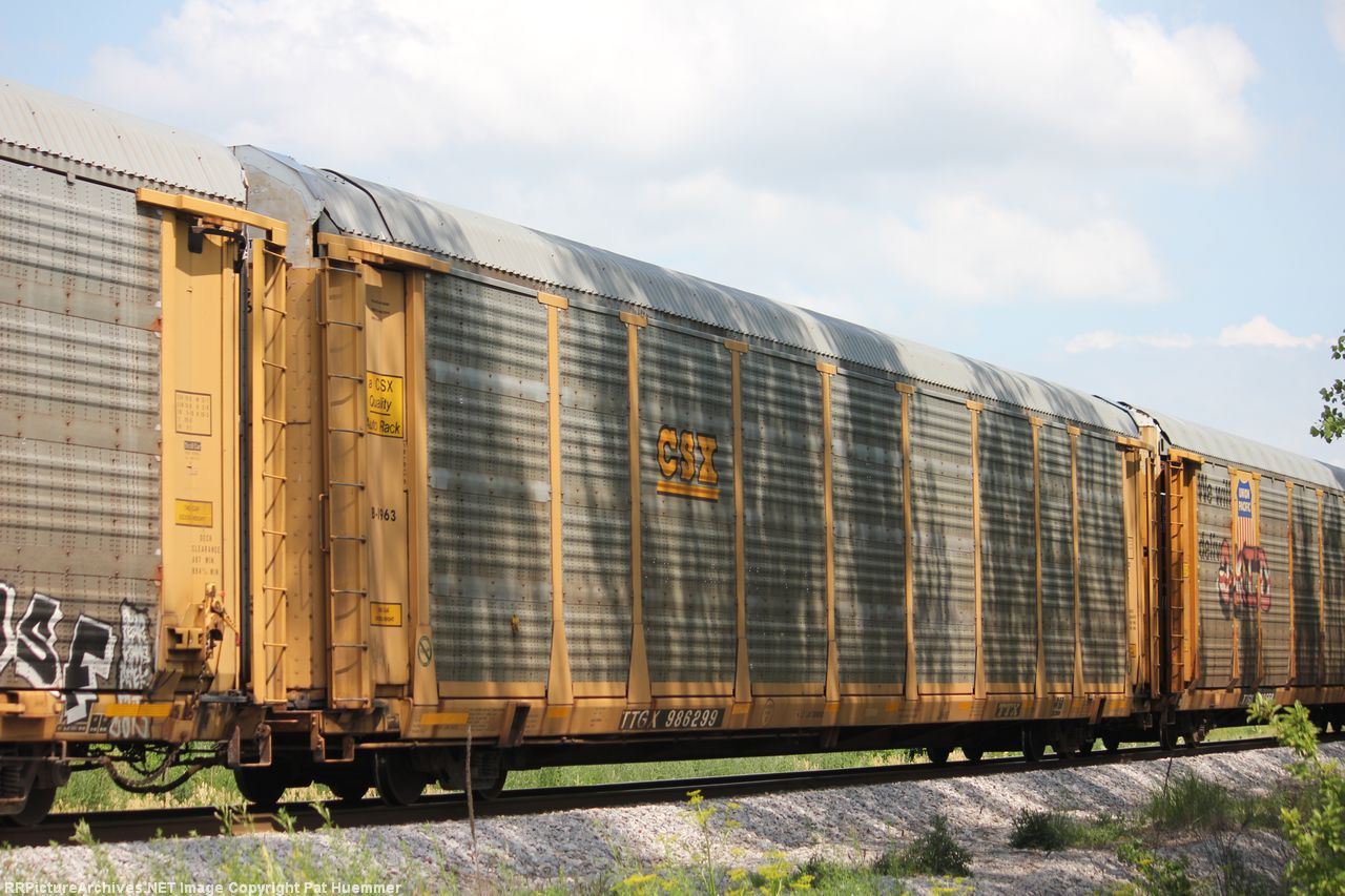TTGX 986299