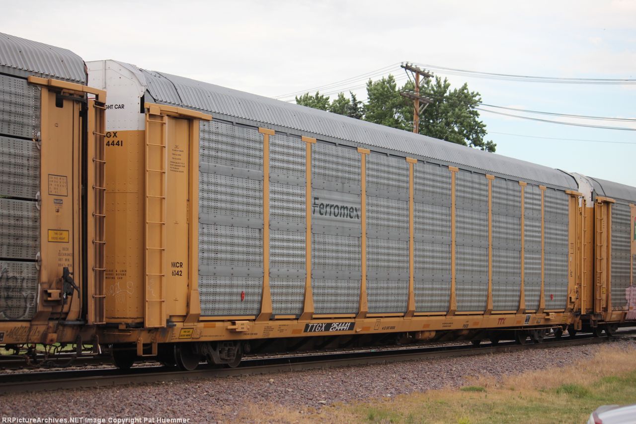 TTGX 254441