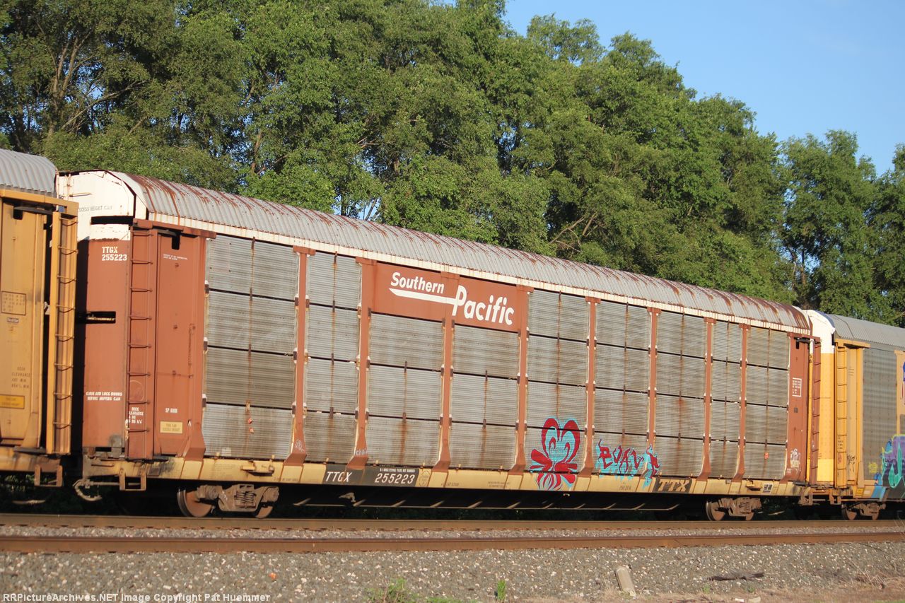 TTGX 255223