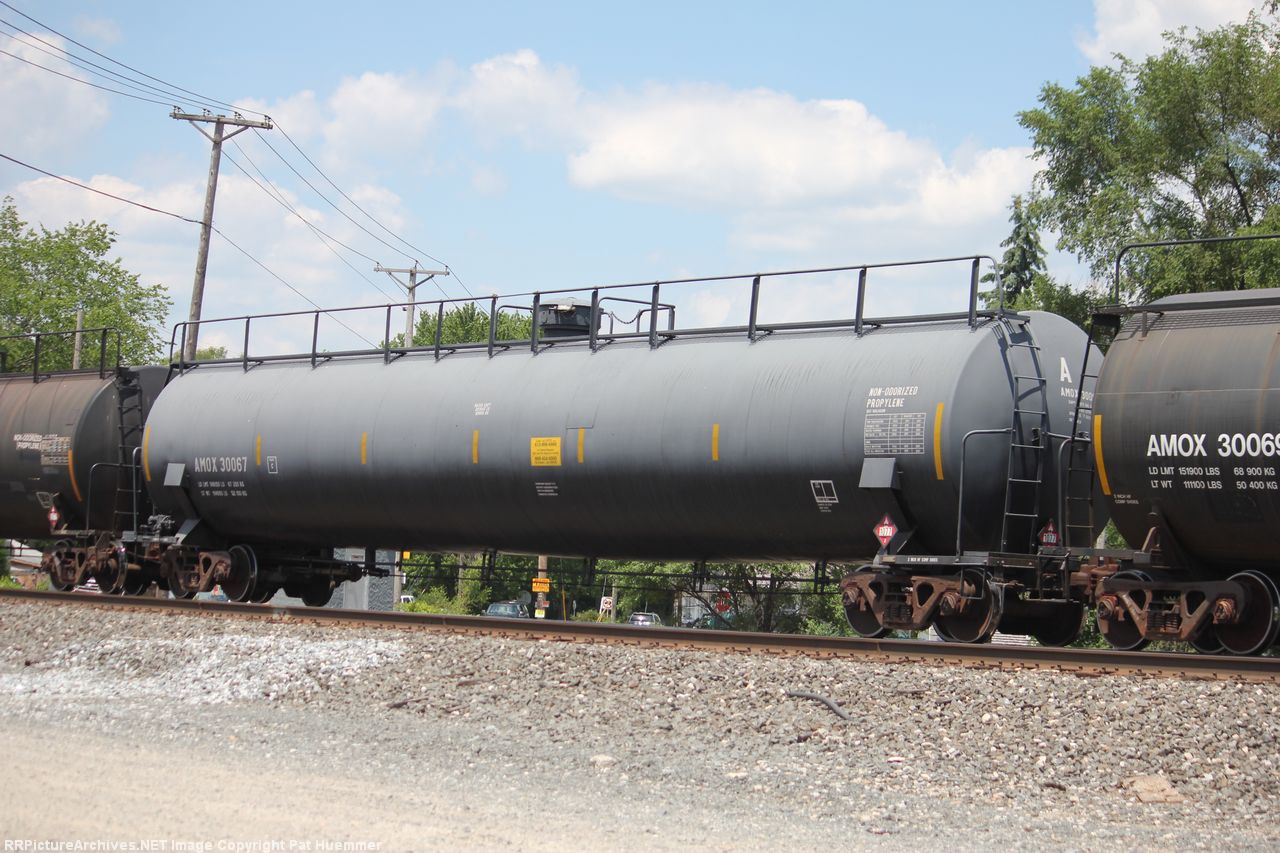 AMOX 30067