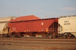 BNSF 431742