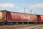 CP 608409
