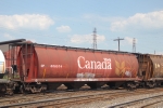 CP 608574