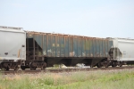 GCCX 173557