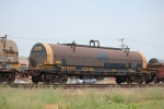 NS 164181