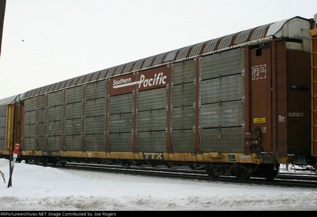 TTGX 255701