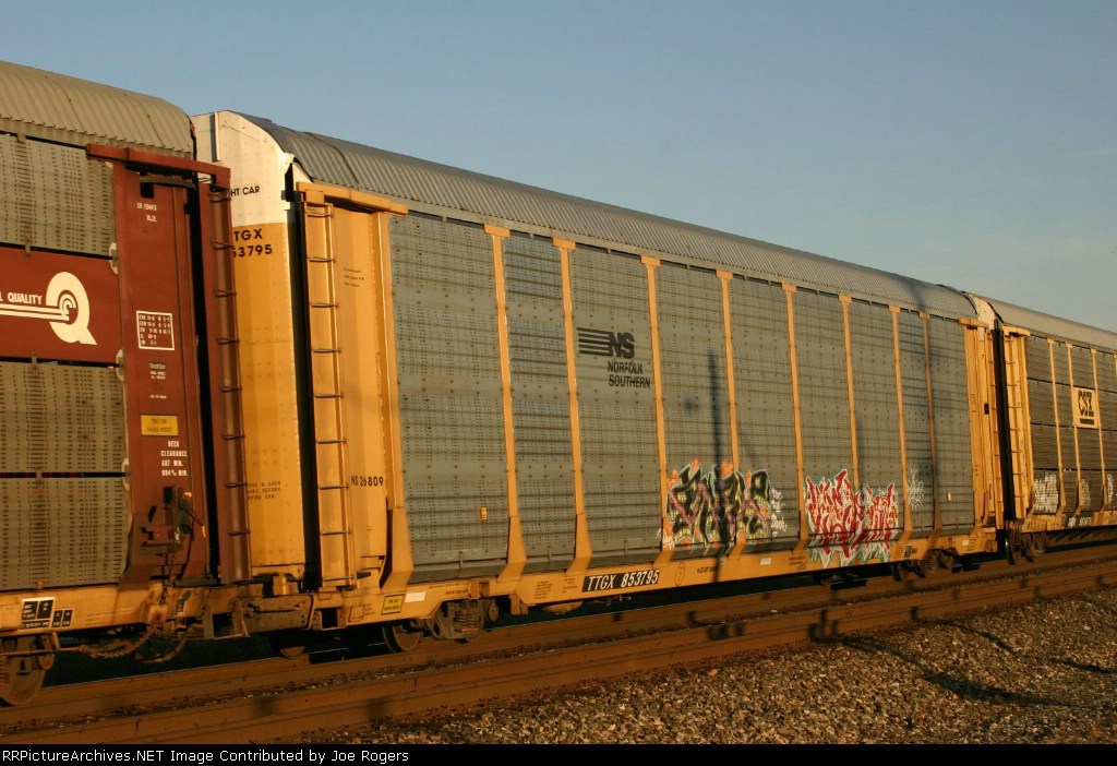 TTGX 953795