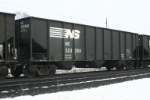 NS 323358