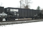 NS 300695