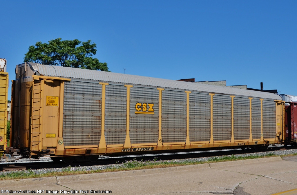 TTGX 985578