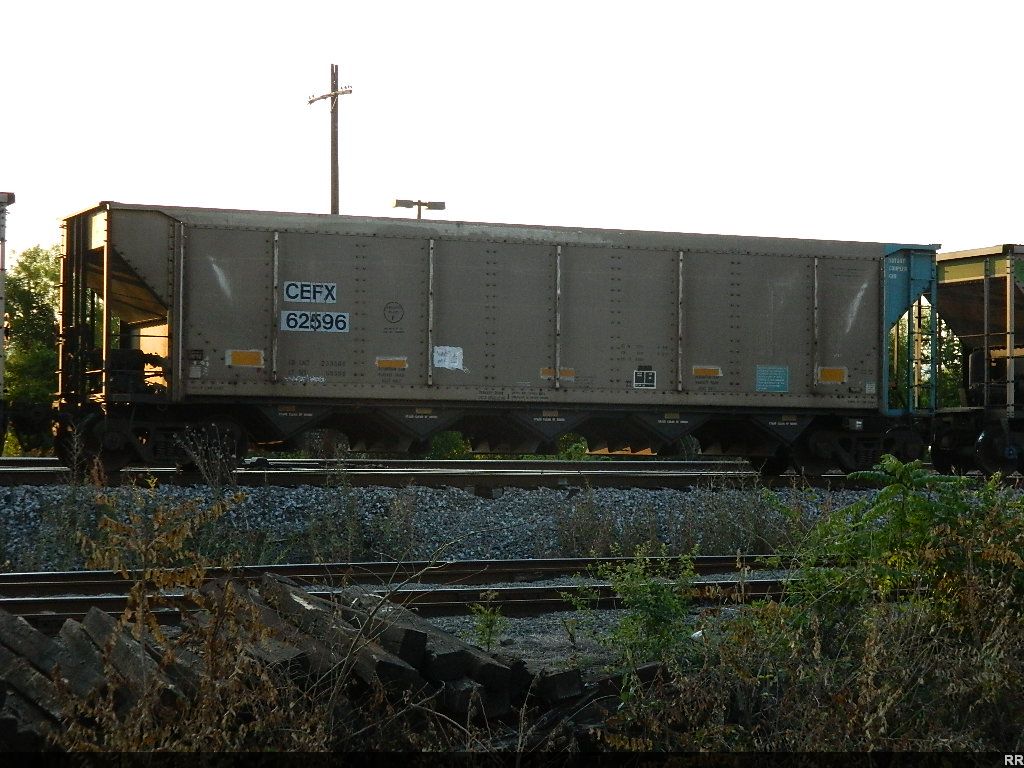 CEFX 62596