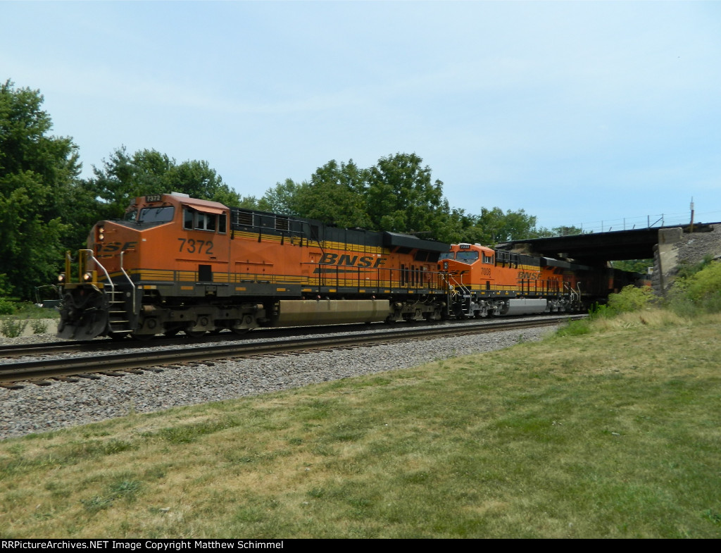 High Ball In Peck Park