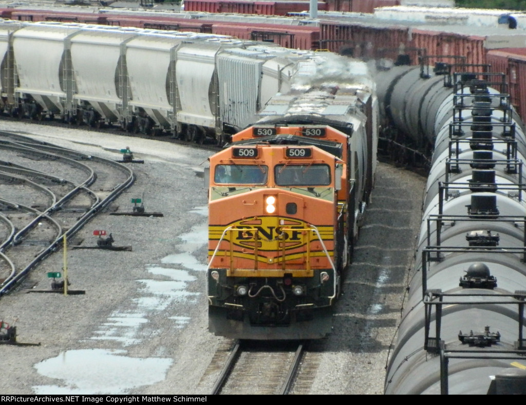 Double B40s Elephant Style