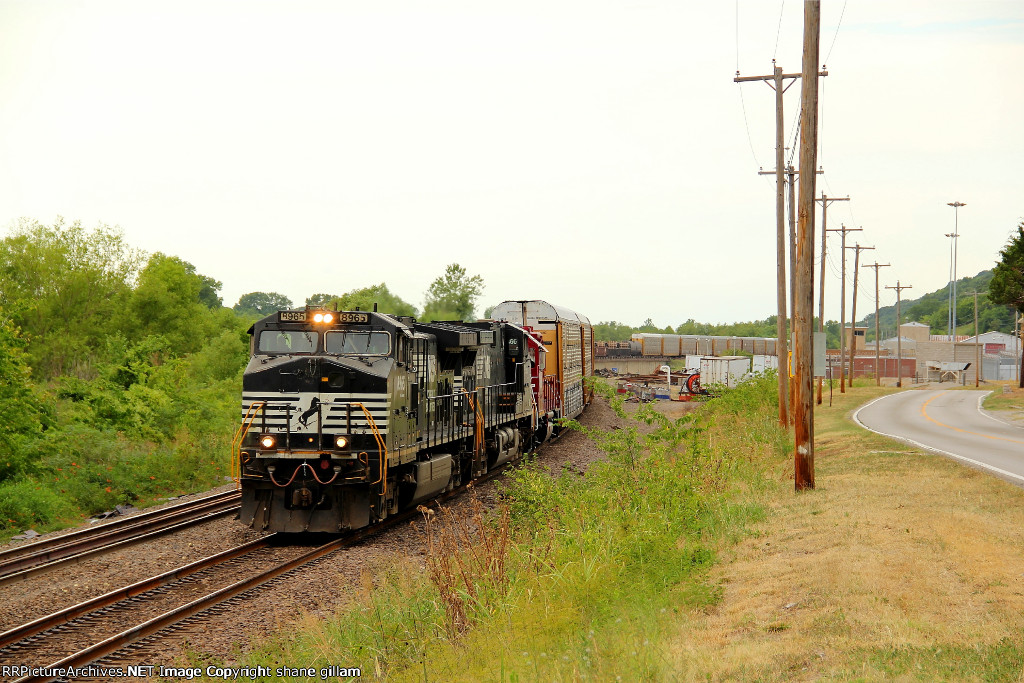 NS 8965 leads a Sb freight train at Chester ill.