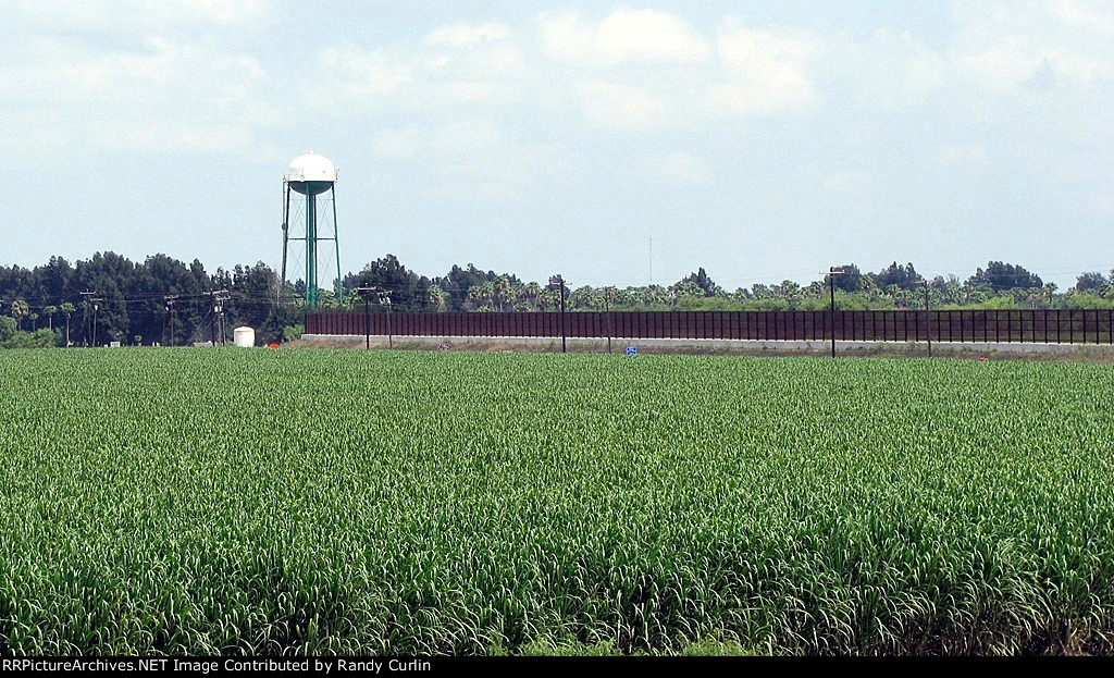 New Rail Line Construction