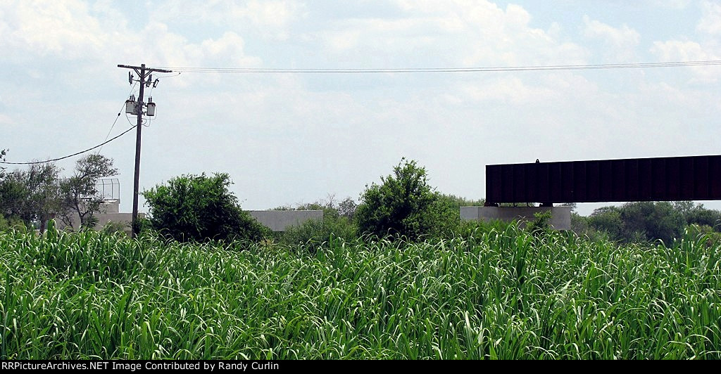 New Rail Line Construction