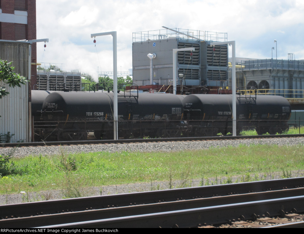 TCIX 175266 and TCIX 175236